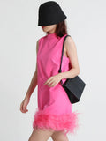 Toloer Design Sense Solid Color A-Line Skirt 2024 Spring Round Collar Sleeveless Hem Ostrich Hair Decoration Loose Dress-Outfit