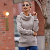 Sweater Women's Horse Hair Solid Color Long-Sleeved Collar Knitwear Shirt In Autumn And Winter