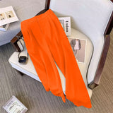 Suit Suit Pants Women Straight Loose 2025 New Spring And Autumn Leisure Wide Legs Commute Black