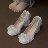 French Fairy Coarse Heel High Heels New With Skirt Design Elegant Heightening Legs Long Mary Jane