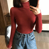 Women Pullover Turtleneck Sweater Autumn 2022 Long Sleeve Elastic Korean Simple Basic Jumper Pull Femme Solid Color Tops