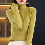 Toloer Autumn Winter New Turtleneck Sweater Set Slim Thin Close-Fitting Knit Bottom With Coat Money-Outfit