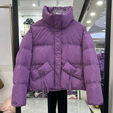 Winter New Standing Collar Down Jacket Female Short Style Casual Fashion Add Thick Small Bread Clothing White Duck Down Coat Tide-Outfit