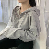 Toloer T-Shirt Hooded Female 2024 Autumn Dress New Korean Version Of Loose Plus-Size Button Bottom Shirt Thin Top To Wear-Outfit
