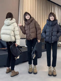 The Temperament Texture Hooded White Duck Down Down Jacket Short Jacket Female Winter Casual Fashion Puff Bread Clothing Add Thick And Versatile-Outfit