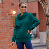 Sweater Women's Horse Hair Solid Color Long-Sleeved Collar Knitwear Shirt In Autumn And Winter