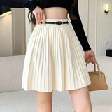 Pleated High Waist Belted Mini Skirt-Outfit