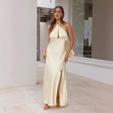Spring Summer New Women's Sexy Waist Hanging Neck Open Fork Long Color Sleeveless Dress