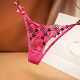 embroidery hollow mesh transparent thong women's sexy ultra-thin panties Thong Panties Sexy