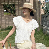 New French Design Feel Women's European Food Korean Women's Small Blouse Lace Three-Dimensional Embroidery