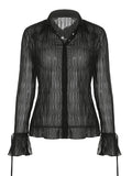 Semi Sheer Long Sleeve Pleated Blouse-Outfit