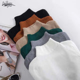 Winter Turtleneck Long Sleeve Sweater Knitted Slim Sweaters Women Casual Pullovers Women's Sweaters Pull Femme