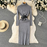 Autumn Winter Women Knitted Dress Turtleneck Sweater Dresses Lady Slim Bodycon Long Sleeve Bottoming Dress