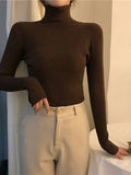 High Neck Jumper Knit Top-Outfit