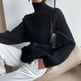 Autumn Winter Thick Turtleneck Sweater Za Women Knitted Oversized Pullover Blouse Long Sleeve Casual Jumper Soft Warm Femme