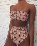 Toloer Chu Double Hot Style Bikini Hot Selling Bikini Hot Style Swimsuit High Waist Print Swimsuit-Outfit