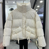 Winter New Standing Collar Down Jacket Female Short Style Casual Fashion Add Thick Small Bread Clothing White Duck Down Coat Tide-Outfit