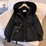 Short Style To Overcome The Female 2024 Winter New Korean Version Of Down Cotton Suit Thick And Velvet Large Size Warm Coat-Outfit