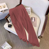 Suit Suit Pants Women Straight Loose 2025 New Spring And Autumn Leisure Wide Legs Commute Black