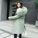 The New Style To Overcome The Velvet And Thick Down Cotton Clothes Female Long Korean Version Autumn Winter Waist Hooded Cotton-Padded Jacket Cotton-Padded Jacket-Outfit