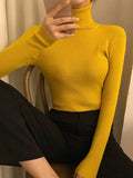 High Neck Jumper Knit Top-Outfit