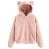 Winter New Plush Rabbit Ear Hooded Double-sided Velvet Warm Cute Sweater Casual Home Loose Pullover Fashion Tops-Outfit