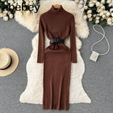 Autumn Winter Women Knitted Dress Turtleneck Sweater Dresses Lady Slim Bodycon Long Sleeve Bottoming Dress