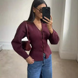 Women's INS Explosion V-Neck Long Sleeves Simple Knitted