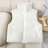 Autumn Winter Korean Version Of Foreign Style Loose And Versatile Sleeveless Short Standing Collar Down Cotton Vest Women's Design Sense Horse Clip Coat-Outfit