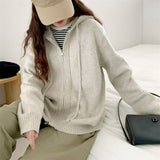 Version Autumn Winter New Casual Hoodie Pure Color Knit Cardigan Female Loose Lazy Wind Double Zipper Sweater Coat Female-Outfit