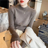 Basic Turtleneck Slim Sweater Pullover Women Autumn winter Casual long Sleeve Sweater For women Female Chic Jumpers