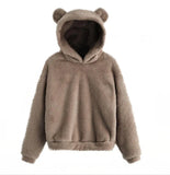 Winter New Plush Rabbit Ear Hooded Double-sided Velvet Warm Cute Sweater Casual Home Loose Pullover Fashion Tops-Outfit