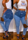 Winter Blue Patch Zipper Fly High Waist Regular