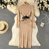 Autumn Winter Women Knitted Dress Turtleneck Sweater Dresses Lady Slim Bodycon Long Sleeve Bottoming Dress