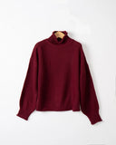 Toloer Women's WISH Turtleneck Long Sleeve Jumper Loose Casual Knit Sweater