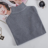 Winter Turtleneck Long Sleeve Sweater Knitted Slim Sweaters Women Casual Pullovers Women's Sweaters Pull Femme