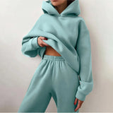 Toloer 2024 Women's Solid Color Casual Fashion Pants And Thick Long-Sleeved Hoodie Hoosuit For