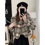 Style Hairy Short Coat 2025 New Women's Autumn And Winter Cotton Thicken French High-End
