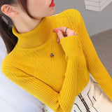 Sweater Women's Autumn And Winter Set-Up Bottom Shirt 2025 New Fashion Knitting