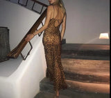 Mesh See Through Leopard Print Maxi Dress-Outfit