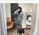 Autumn And Winter New Korean Version Loose And Light White Duck Velvet Hooded Coat Female Casual Pressure Rubber Down Jacket Coat-Outfit