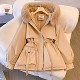 Short Style To Overcome The Female 2024 Winter New Korean Version Of Down Cotton Suit Thick And Velvet Large Size Warm Coat-Outfit