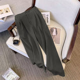 Suit Suit Pants Women Straight Loose 2025 New Spring And Autumn Leisure Wide Legs Commute Black