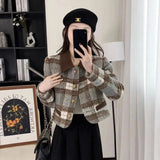 Style Hairy Short Coat 2025 New Women's Autumn And Winter Cotton Thicken French High-End
