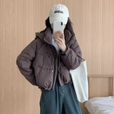 Puff Hooded Down Jacket Women's Short Winter 2024 New Add Thick Color Zipper Sleeve White Duck Velvet Bread Coat-Outfit