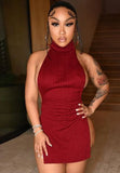 Winter Sexy High Neck Backless Mini