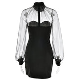 Sheer Long Sleeve Mock Neck Bodycon Mini Dress-Outfit