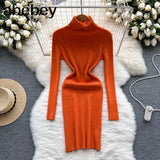 Sheath Women Dress Fashion Turtleneck Long Sleeve A Line Bodycon Dress Female Solid Streetwear Knitted