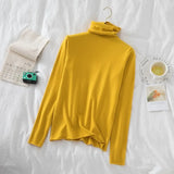 Women's Turtleneck Sweaters 2022 Autumn Winter Sweater Knitted Pullover Long Sleeve Women Sweaters Tops Jumper Pull Femme
