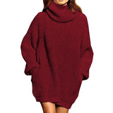 Toloer And Winter New Fashion Long Sleeve High Collar Pocket Long Dress Loose Sweater